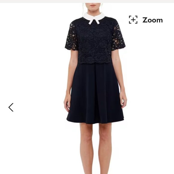 Ted Baker Dixxy Layered Lace Dress in Dark Navy - Picture 4 of 11